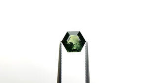 2.55ct 8.73x7.60x5.00mm Hexagon Step Cut Sapphire 23814-03