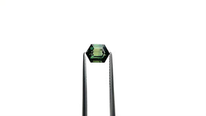 1.52ct 7.69x5.93x3.81mm Hexagon Step Cut Sapphire 25381-02