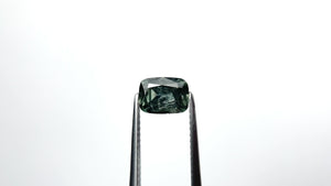 1.49ct 7.28x5.35x3.82mm Cushion Brilliant Sapphire 24173-03