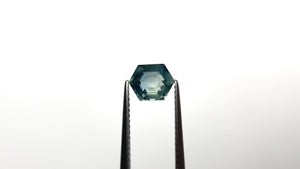 1.44ct 7.36x5.82x3.81mm Hexagon Step Cut Sapphire 25072-02