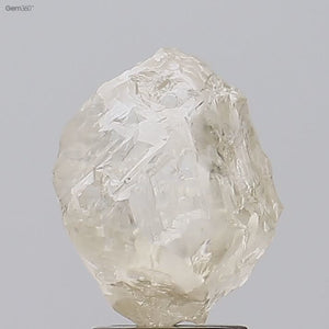 4.55ct Rough Diamond 79-1-7