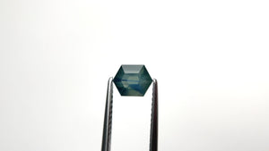 1.32ct 7.00x5.48x3.99mm Hexagon Step Cut Sapphire 25071-02