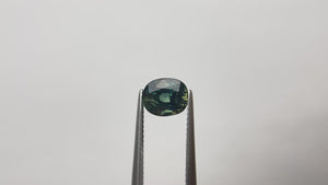 2.89ct 8.33x6.74x5.80mm Oval Brilliant Sapphire 19476-01