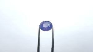 7.00ct 11.75x9.55x7.69mm Oval Brilliant Cut Sapphire 22976-01