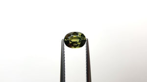 1.20ct 6.68x5.15x3.87mm Oval Brilliant Sapphire 22290-16